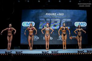 FIGURE +163